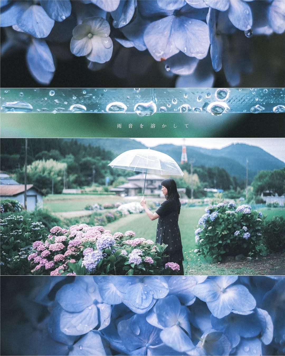 Post 5 by 絵　梨　果　( Erika ) on Instagram (image)