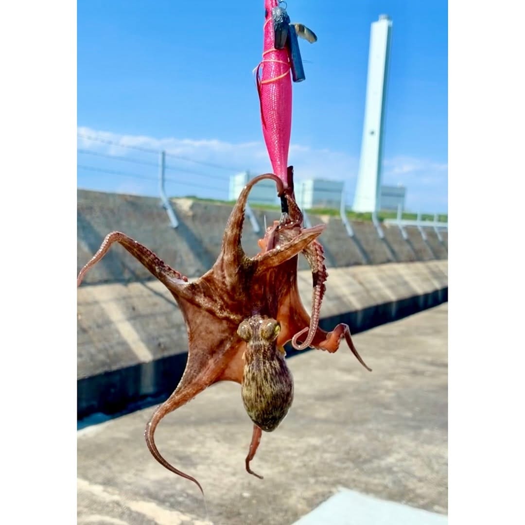 Post 4 by Takahito Tsutsumitani on Instagram (carousel)
