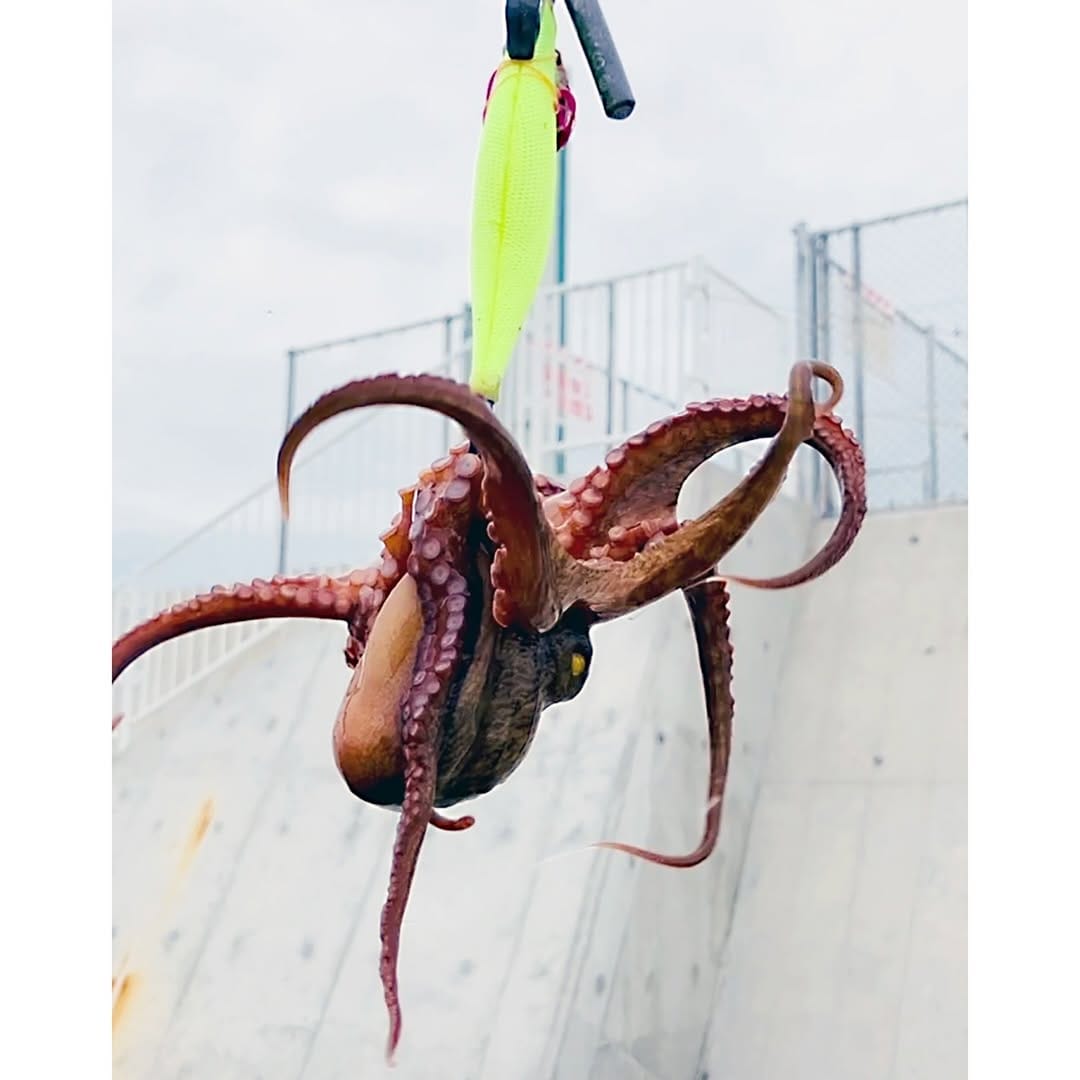 Post 6 by Takahito Tsutsumitani on Instagram (carousel)