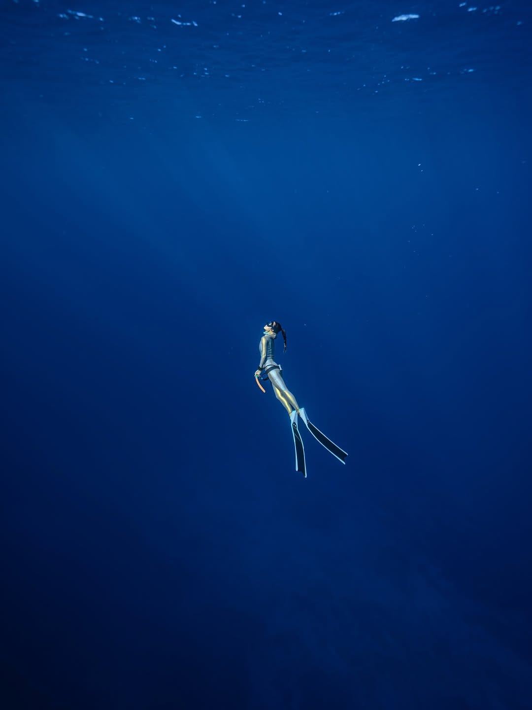 Post 1 by SUN JIAXI🇯🇵 SUNSEA そんそん🇨🇳 on Instagram (image)