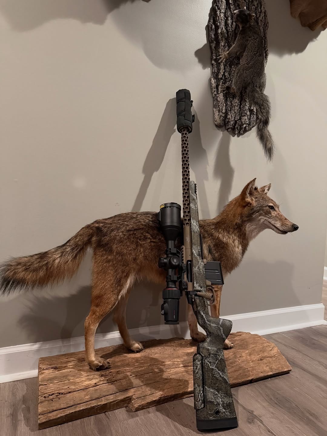 Post 2 by Kenzie's Optics on Instagram (image)