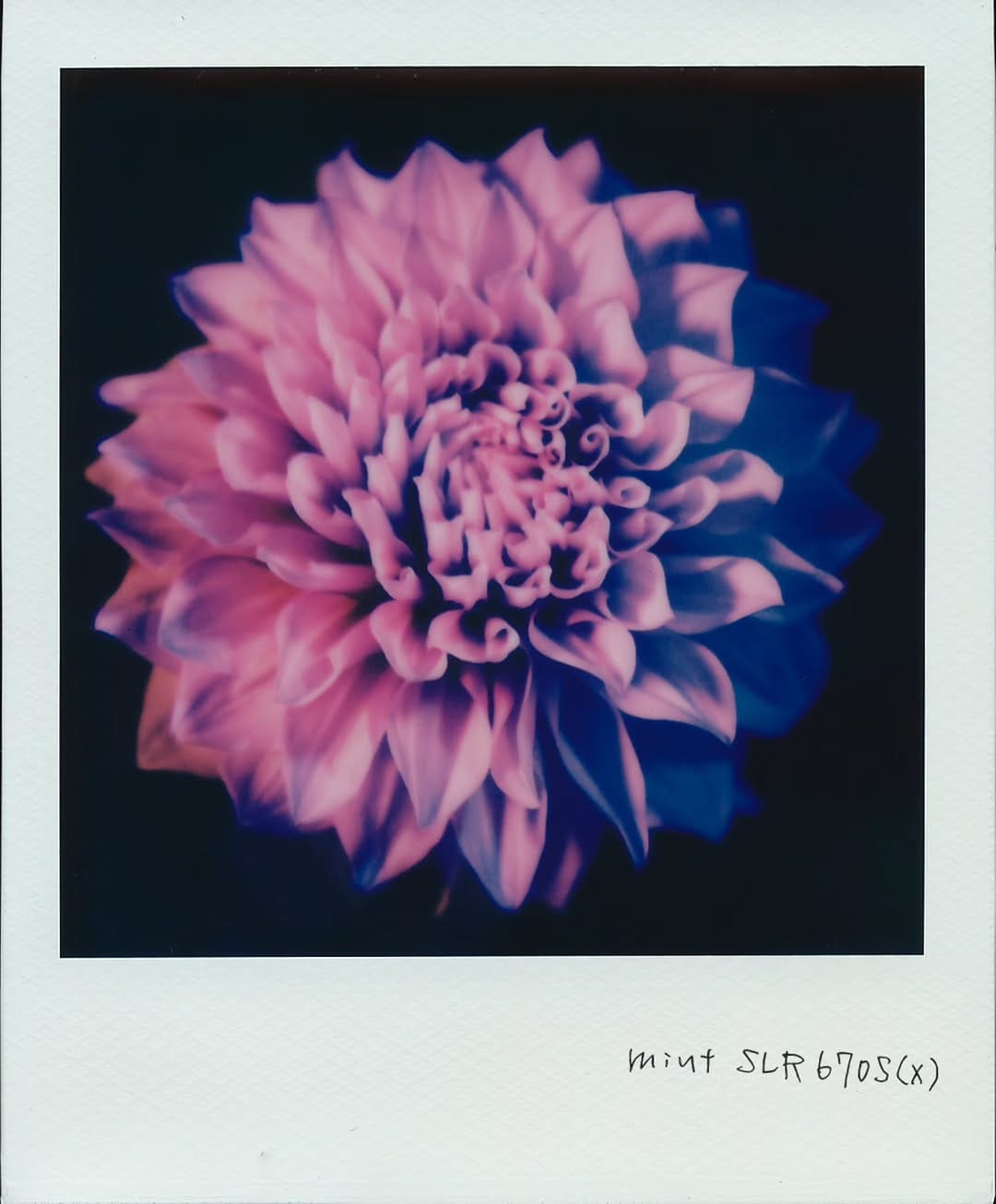 Post 1 by AKIO NAKAI on Instagram (carousel)