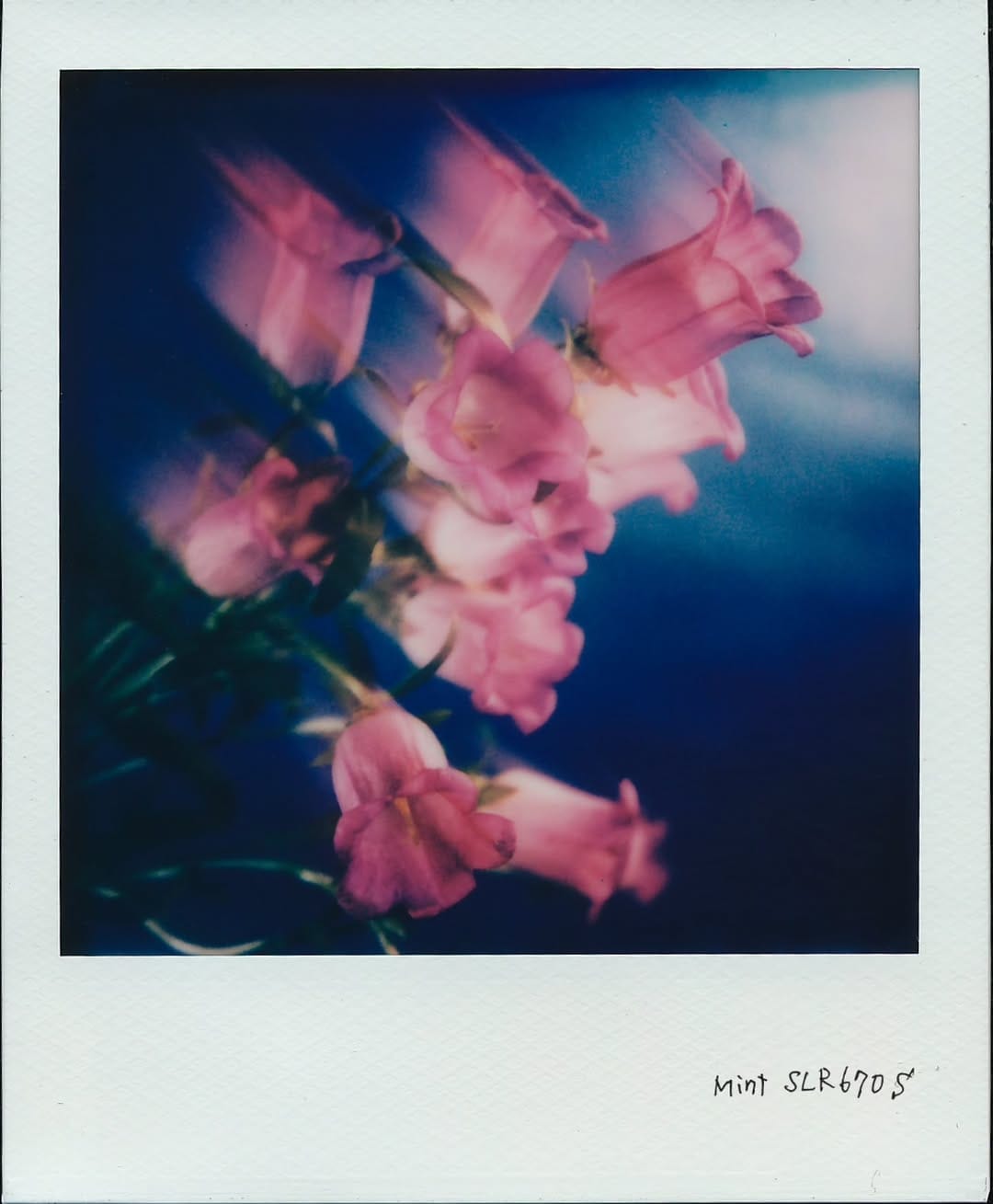 Post 4 by AKIO NAKAI on Instagram (carousel)