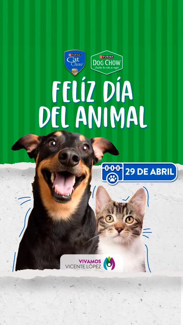 Post 7 by Purina Cat Chow Argentina on Instagram (video)