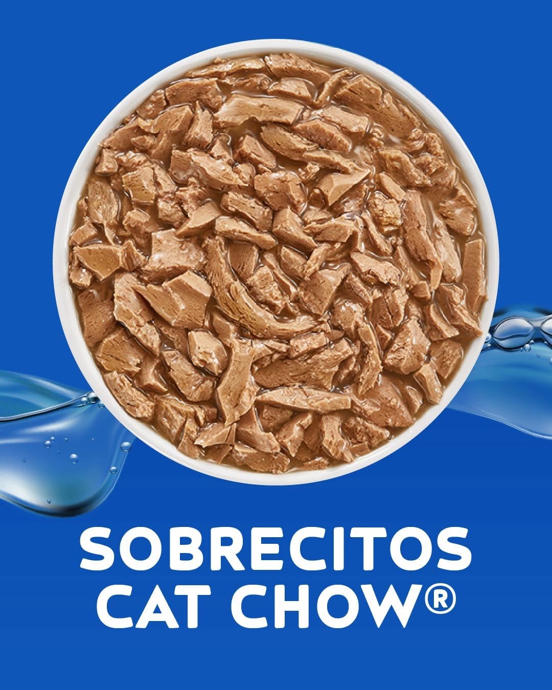 Post 2 by Purina Cat Chow Argentina on Instagram (carousel)