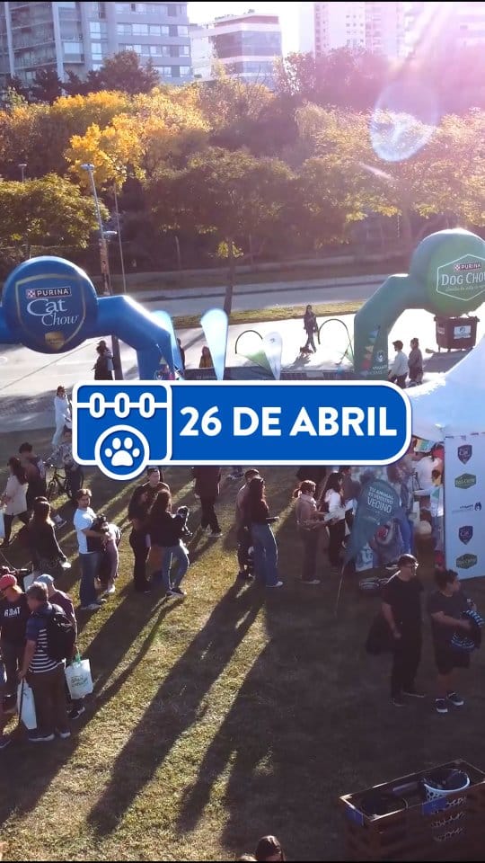 Post 10 by Purina Cat Chow Argentina on Instagram (video)