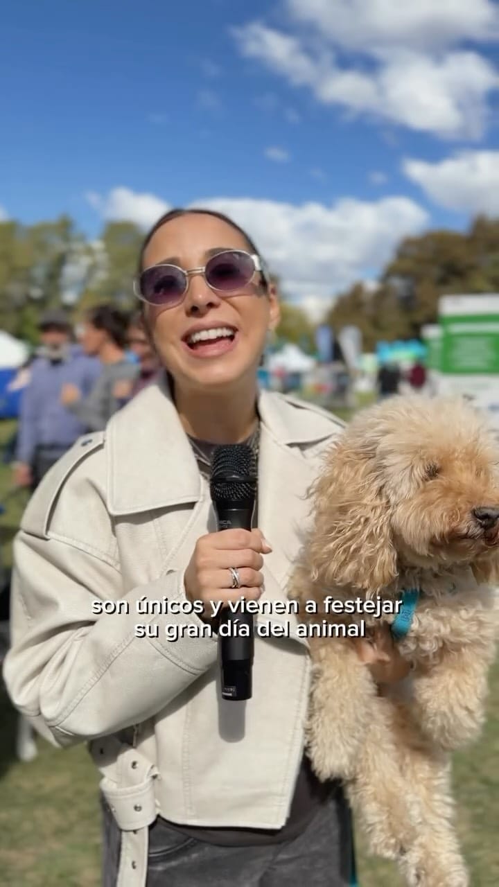 Post 8 by Purina Cat Chow Argentina on Instagram (video)