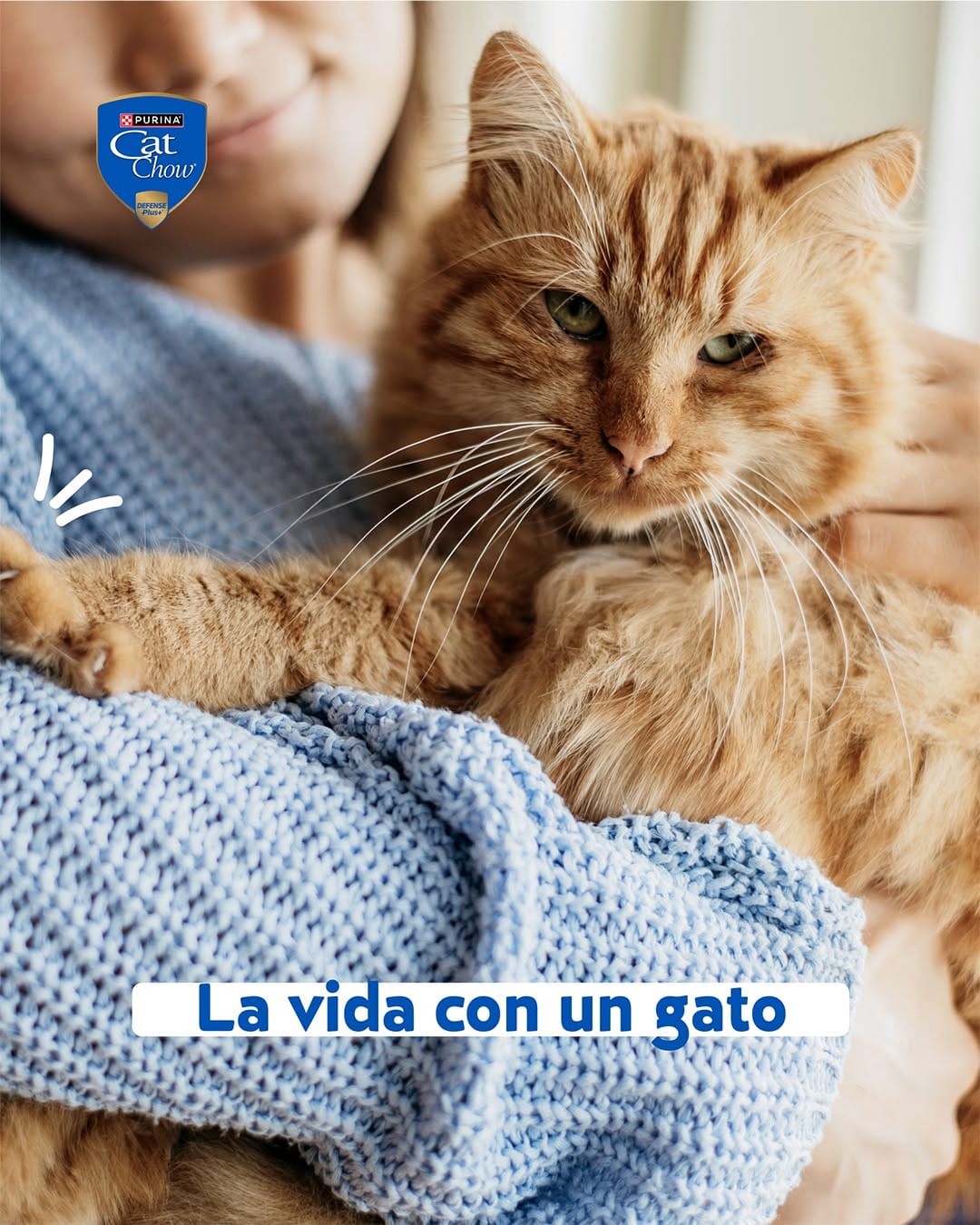 Post 1 by Purina Cat Chow Argentina on Instagram (carousel)