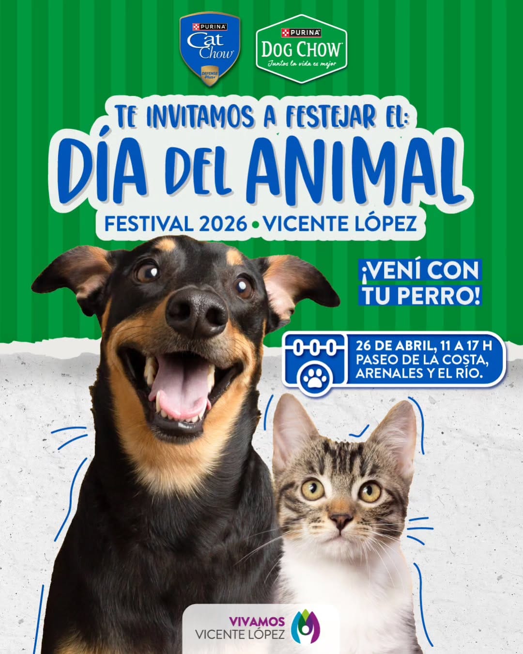 Post 9 by Purina Cat Chow Argentina on Instagram (image)
