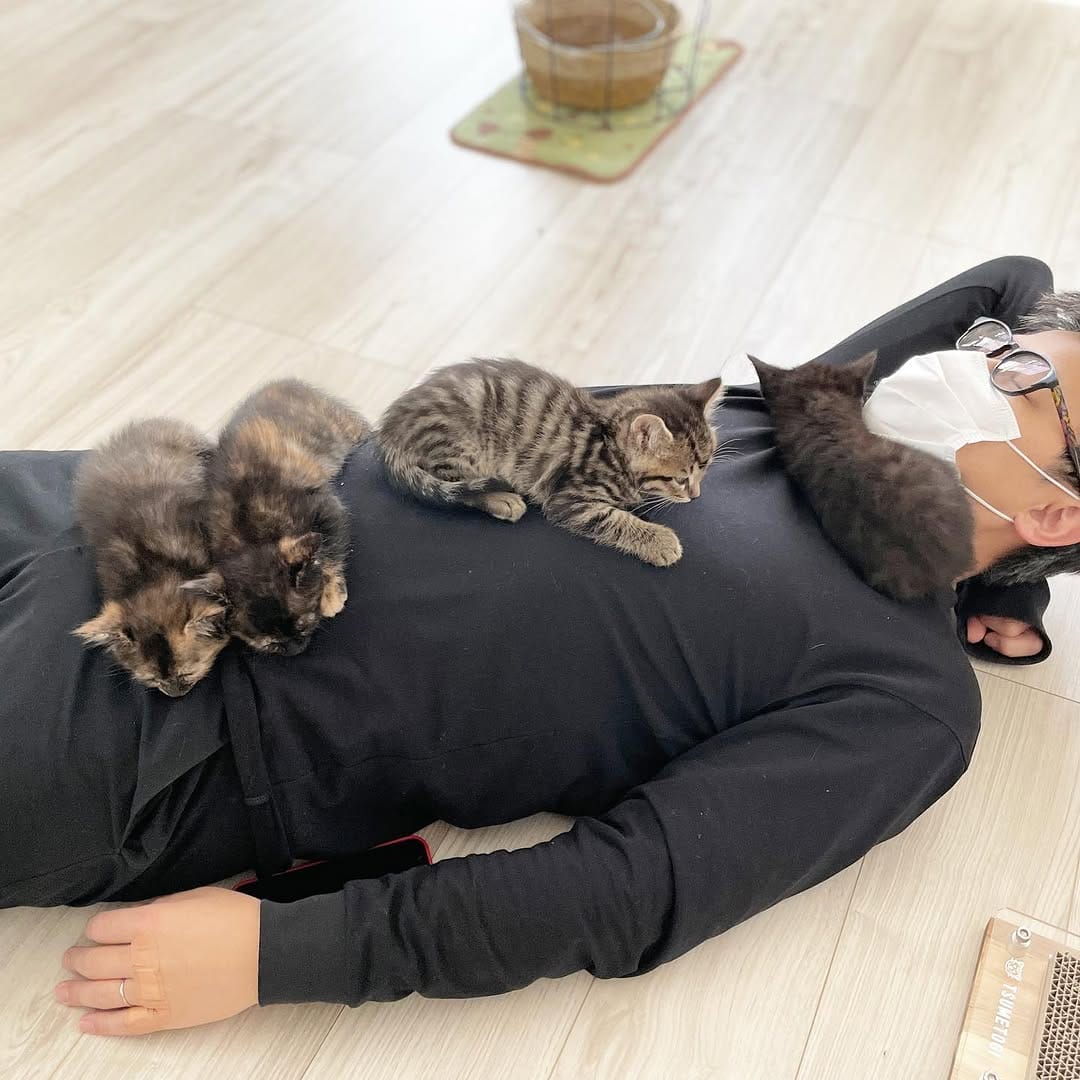 Post 10 by nekodea＊宿と猫 on Instagram (carousel)