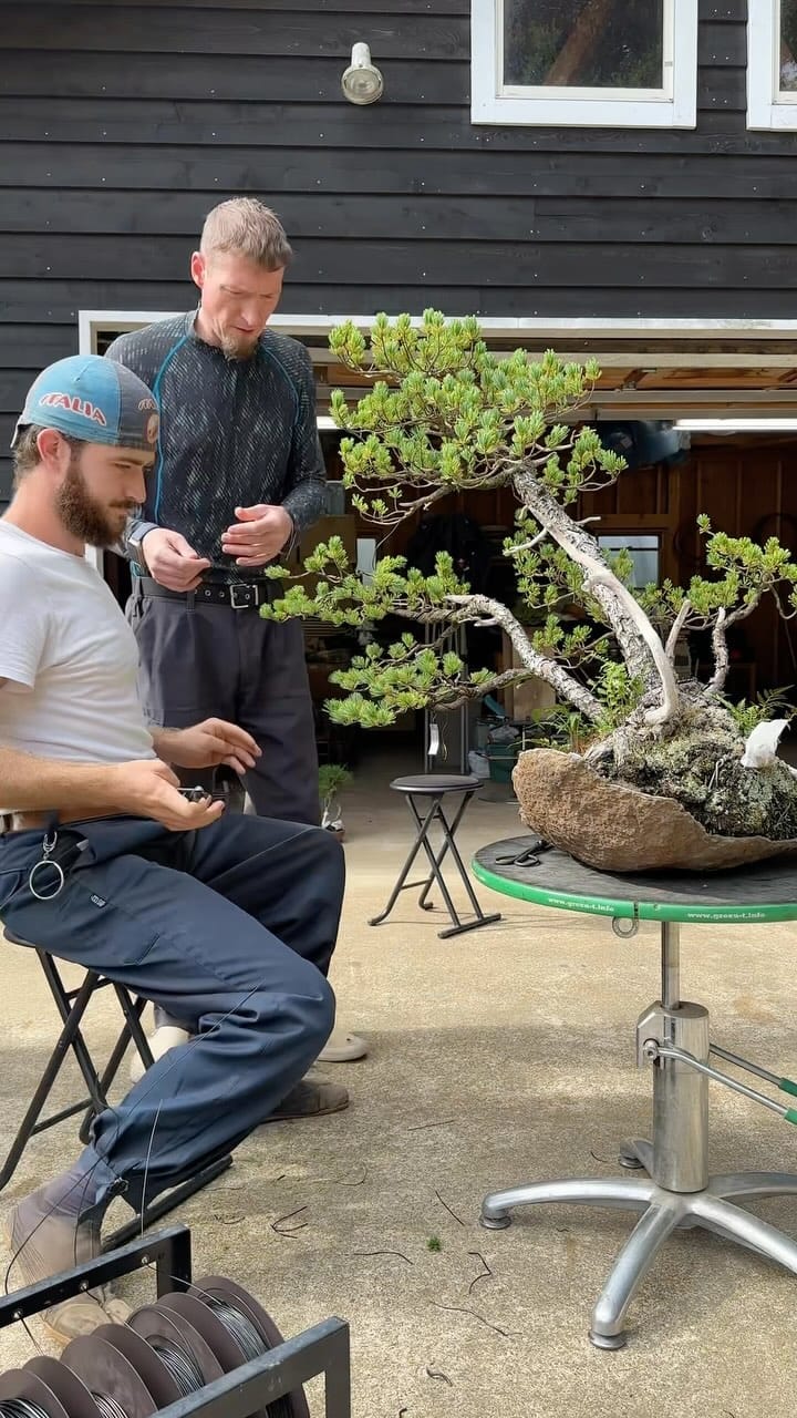 Post 6 by the garden boy on Instagram (video)