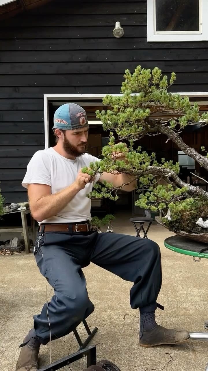 Post 8 by the garden boy on Instagram (video)