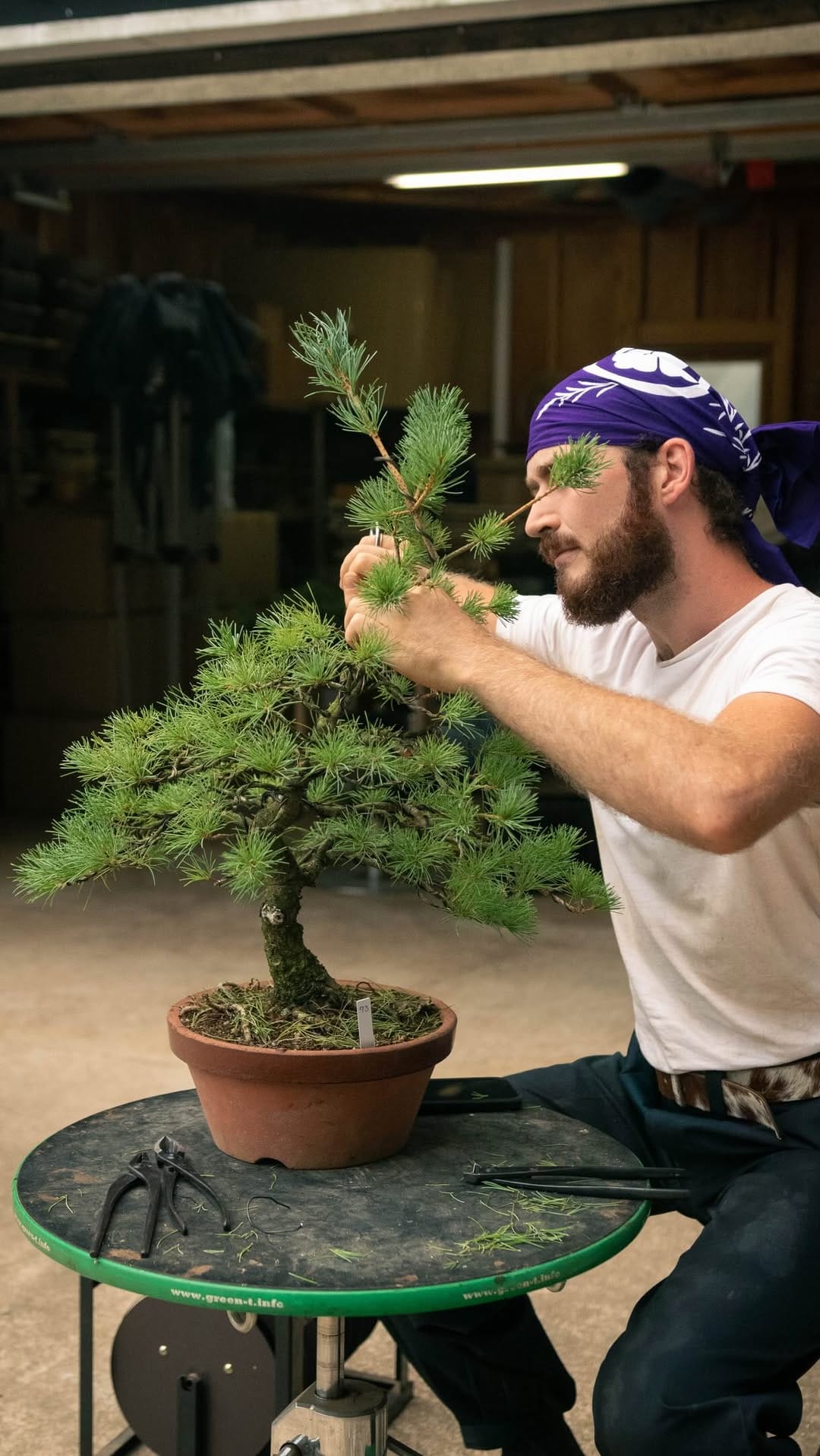 Post 7 by the garden boy on Instagram (video)