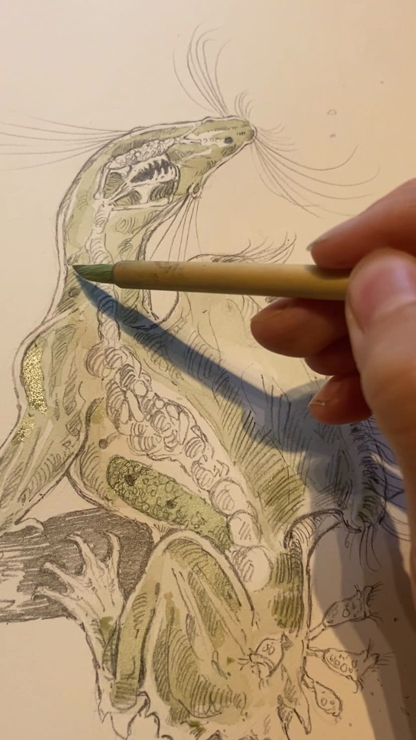 Post 5 by Dominique Vassie on Instagram (video)