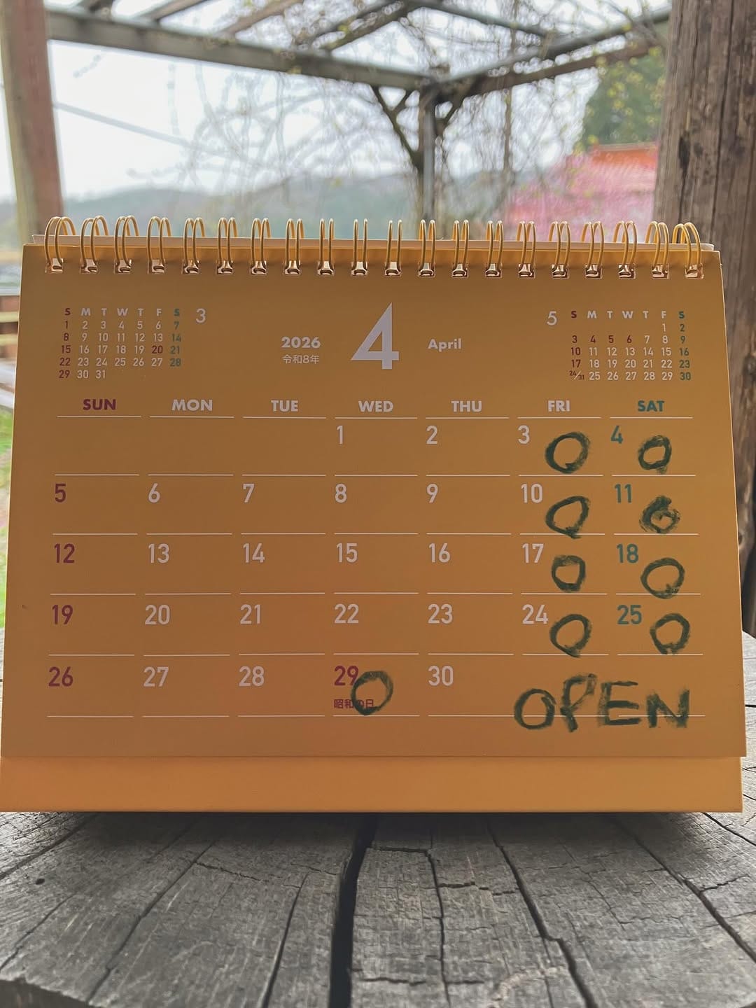 Post 5 by BAGEL INN on Instagram (image)