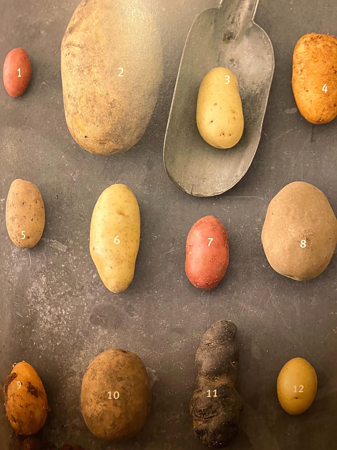 Post 2 by BAGEL INN on Instagram (image)