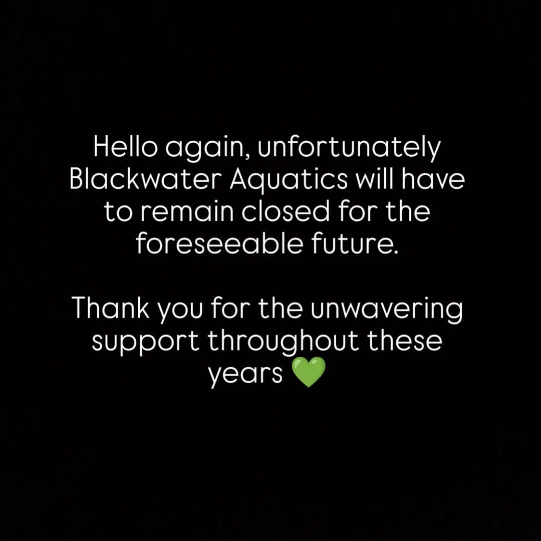 Post 1 by BlackWater Aquatics | Online Petstore on Instagram (image)