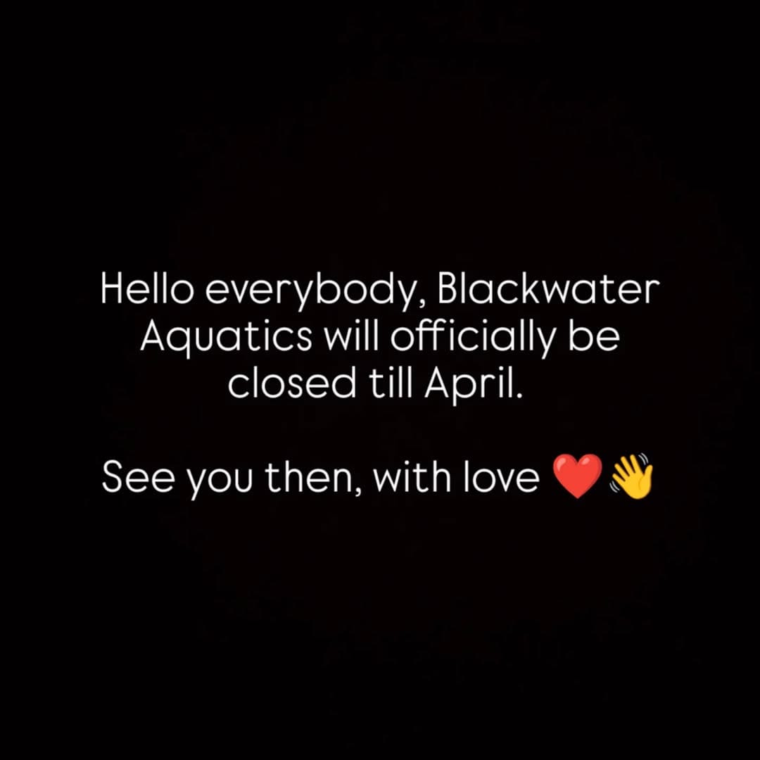 Post 2 by BlackWater Aquatics | Online Petstore on Instagram (image)