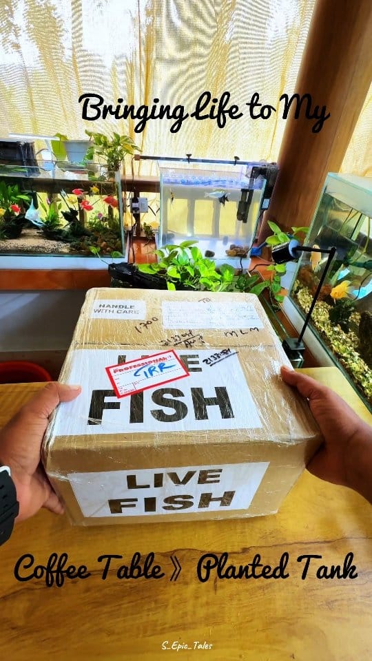 Post 5 by BlackWater Aquatics | Online Petstore on Instagram (video)