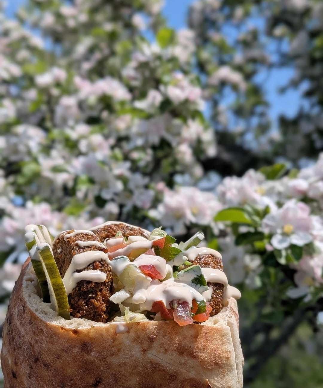 Post 5 by Falafel Mafia on Instagram (image)