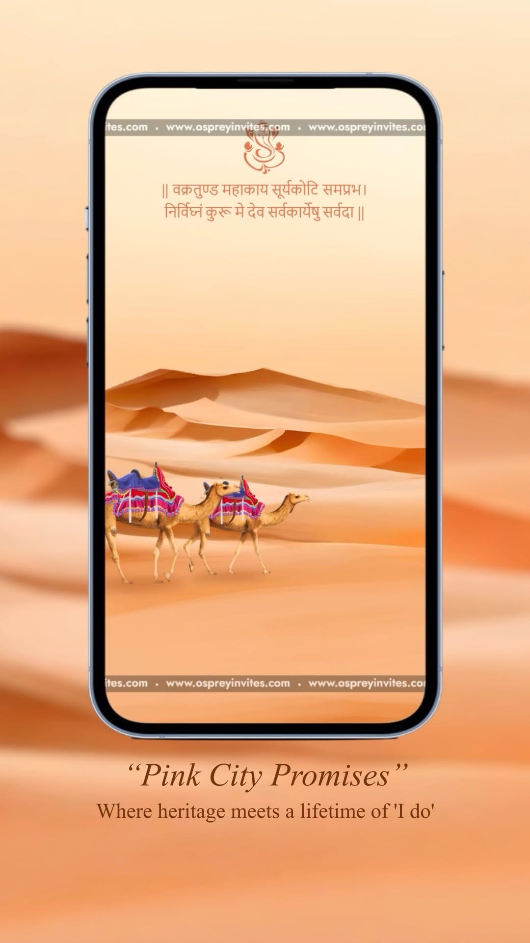 Post 1 by Osprey | Digital Wedding Invitations on Instagram (video)