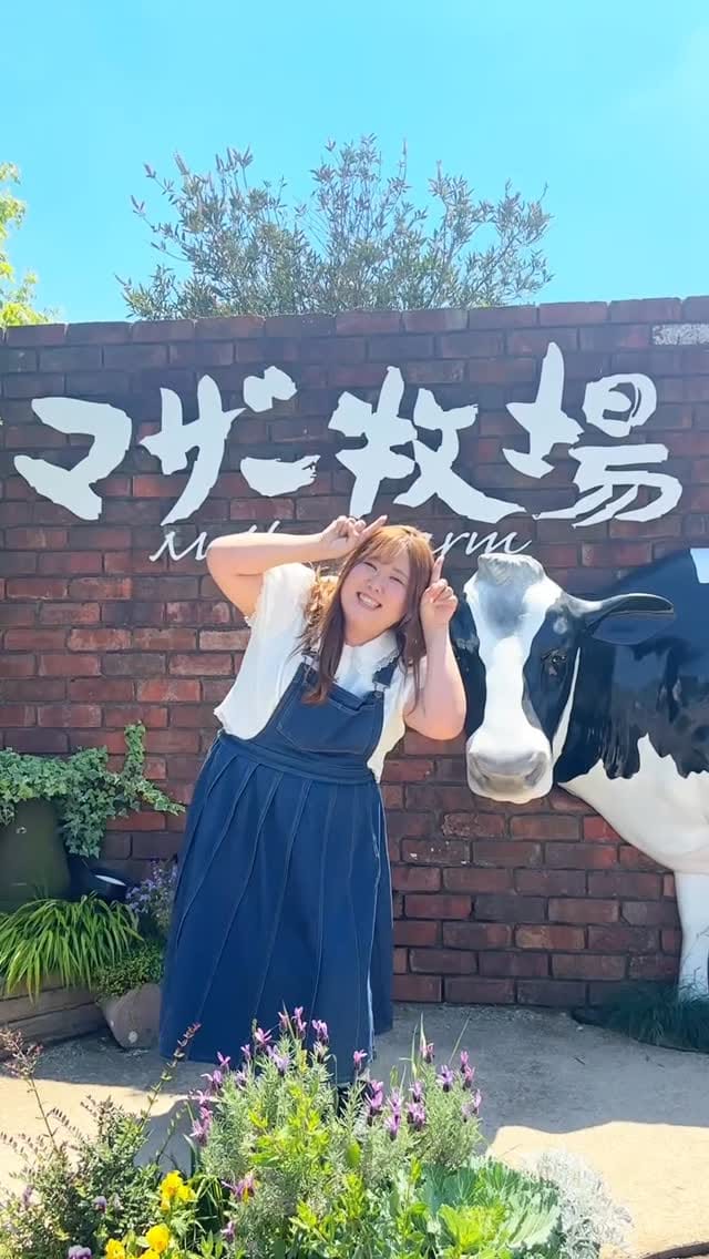 Post 1 by 多田えり🐣111kg🐣びっくえんじぇる on Instagram (video)