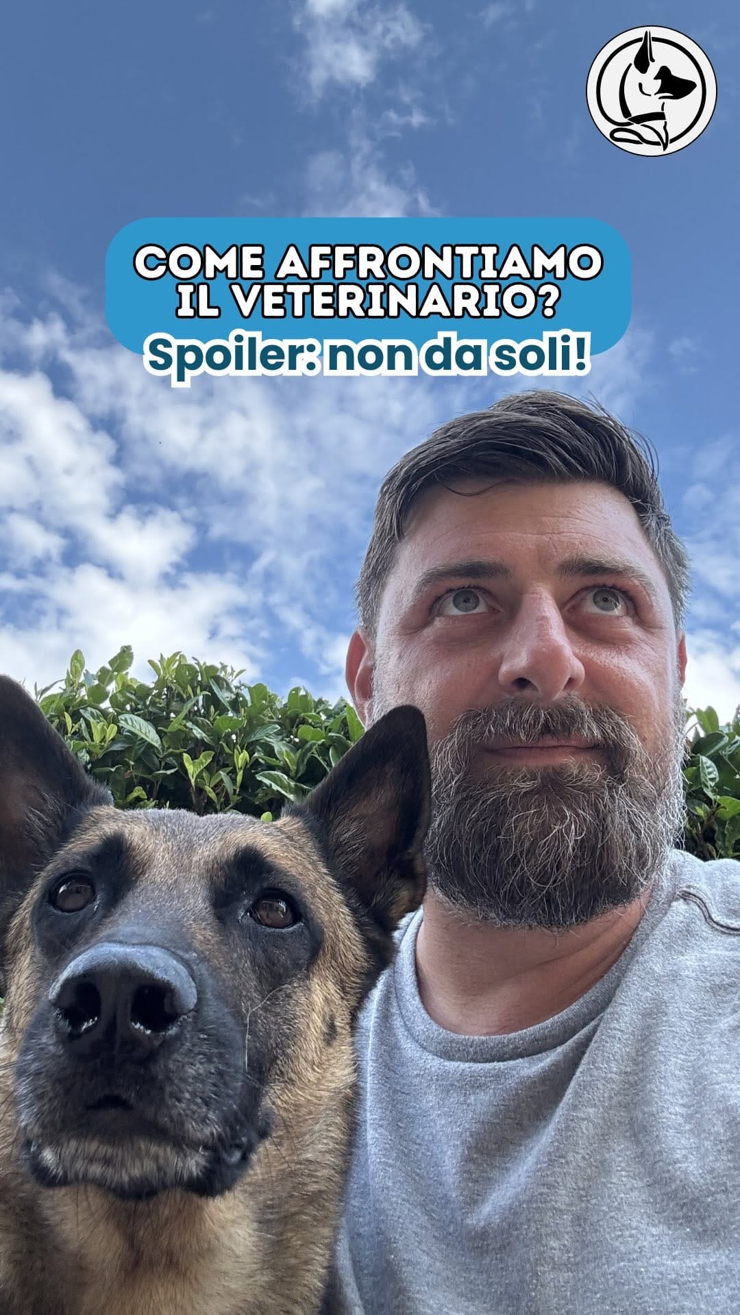 Post 6 by L’Asilo per cani di Alessandro il Dogsitter on Instagram (video)