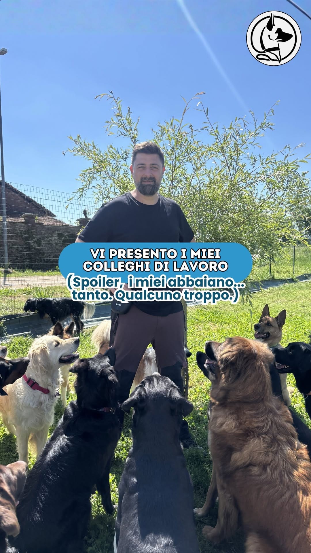 Post 1 by L’Asilo per cani di Alessandro il Dogsitter on Instagram (video)