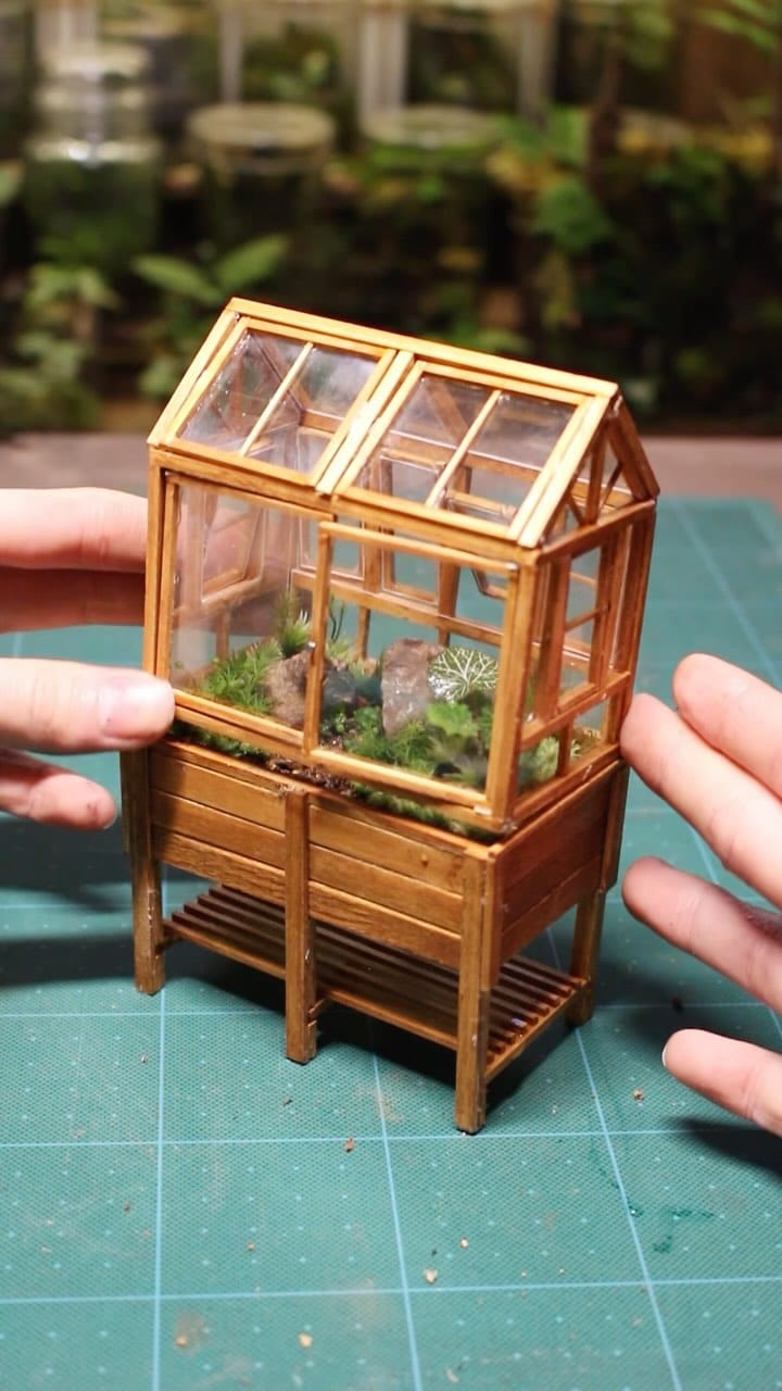 Post 8 by 温密林  terrariums on Instagram (video)