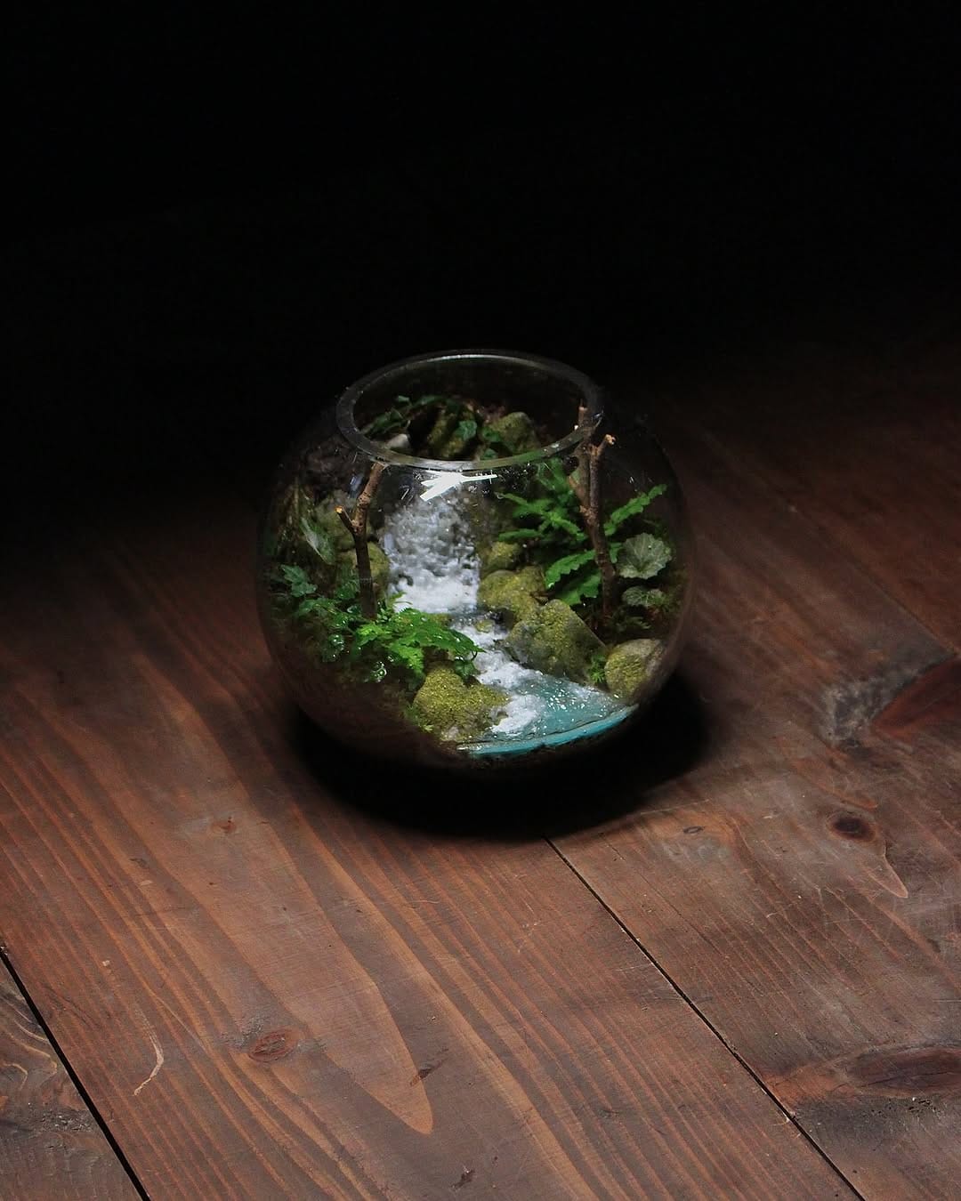 Post 10 by 温密林  terrariums on Instagram (carousel)