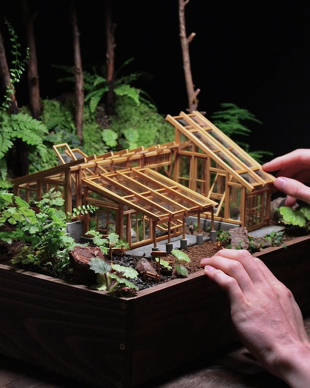 Post 5 by 温密林  terrariums on Instagram (carousel)