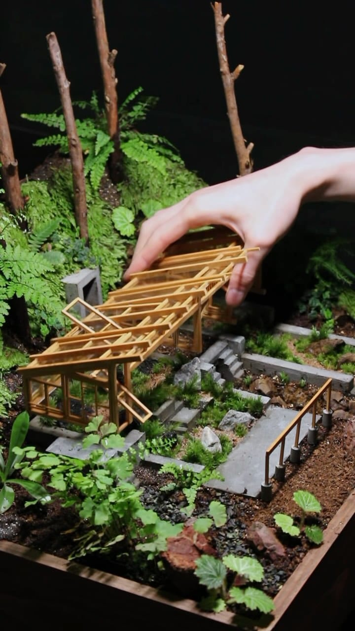 Post 6 by 温密林  terrariums on Instagram (video)
