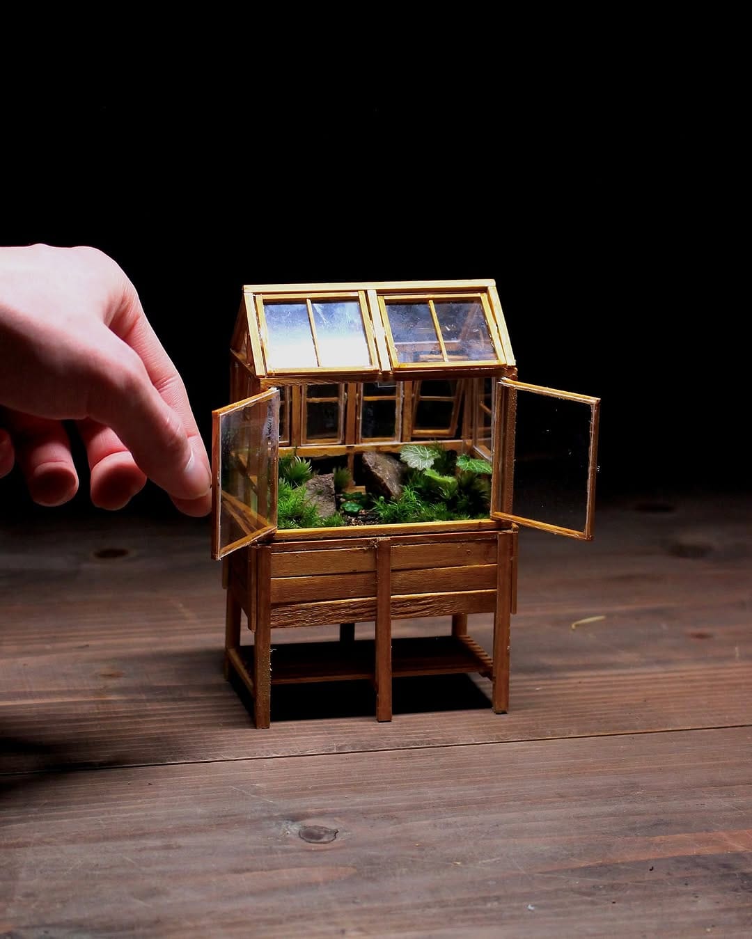 Post 7 by 温密林  terrariums on Instagram (carousel)