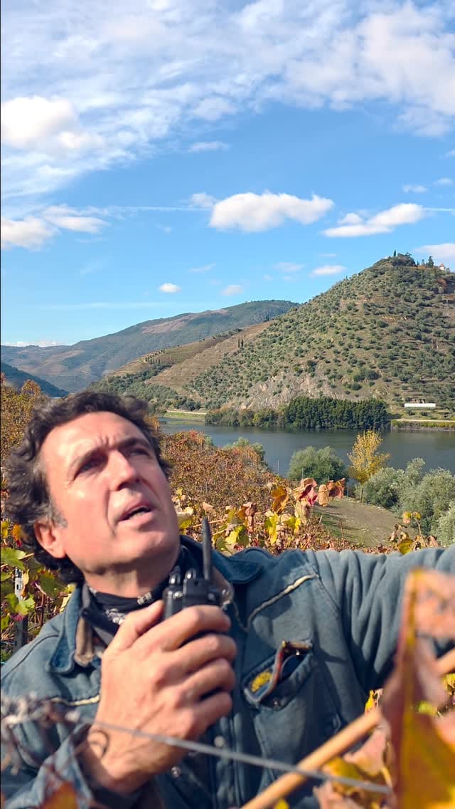 Post 1 by Juan Garaizabal on Instagram (video)