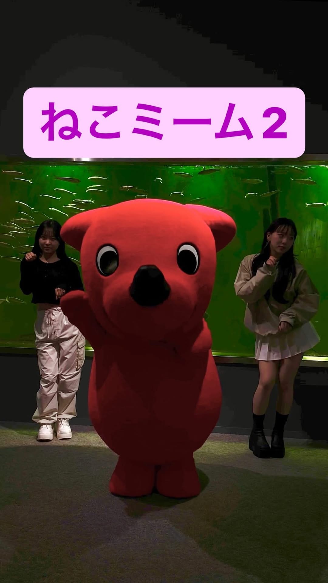 Post 10 by チーバくんダンスチャレンジ on Instagram (video)