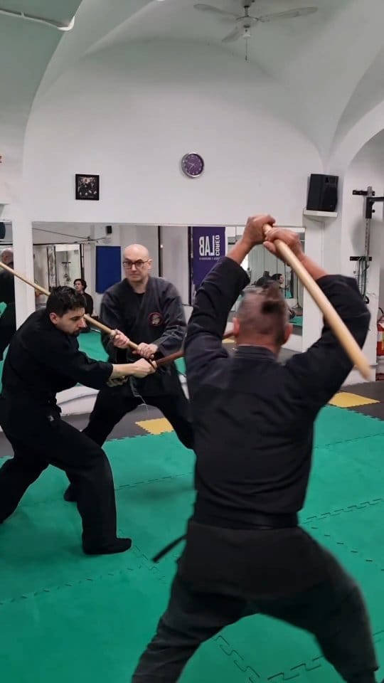 Post 1 by Luca Lanaro on Instagram (video)