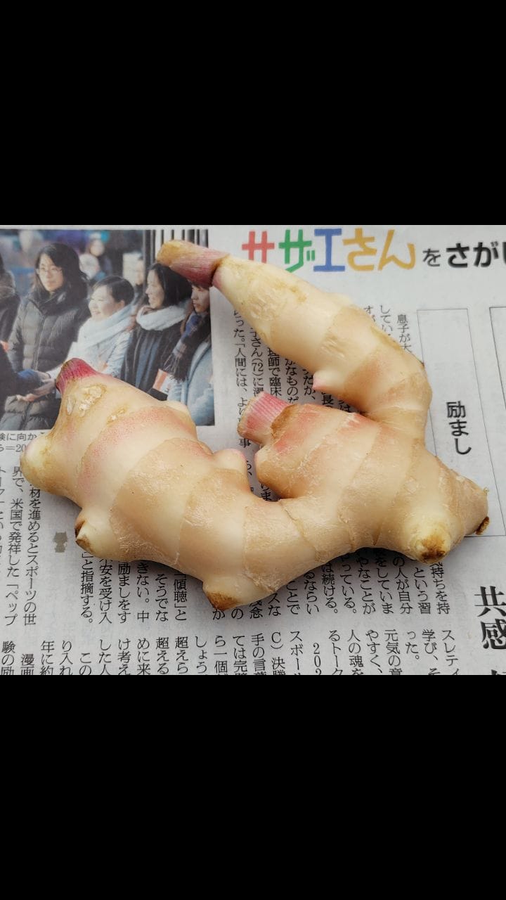 Post 4 by gaku carving on Instagram (video)