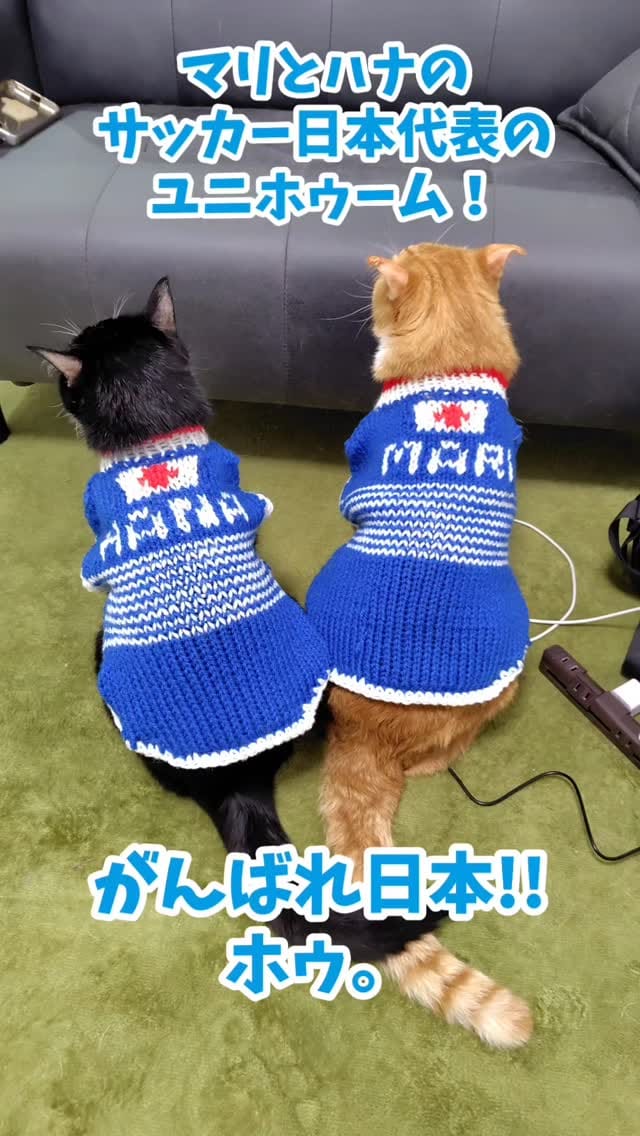Post 1 by アイパー滝沢 on Instagram (video)