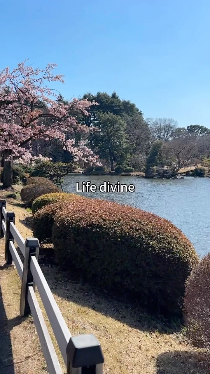 Post 7 by Rebecca 🫡 on Instagram (video)