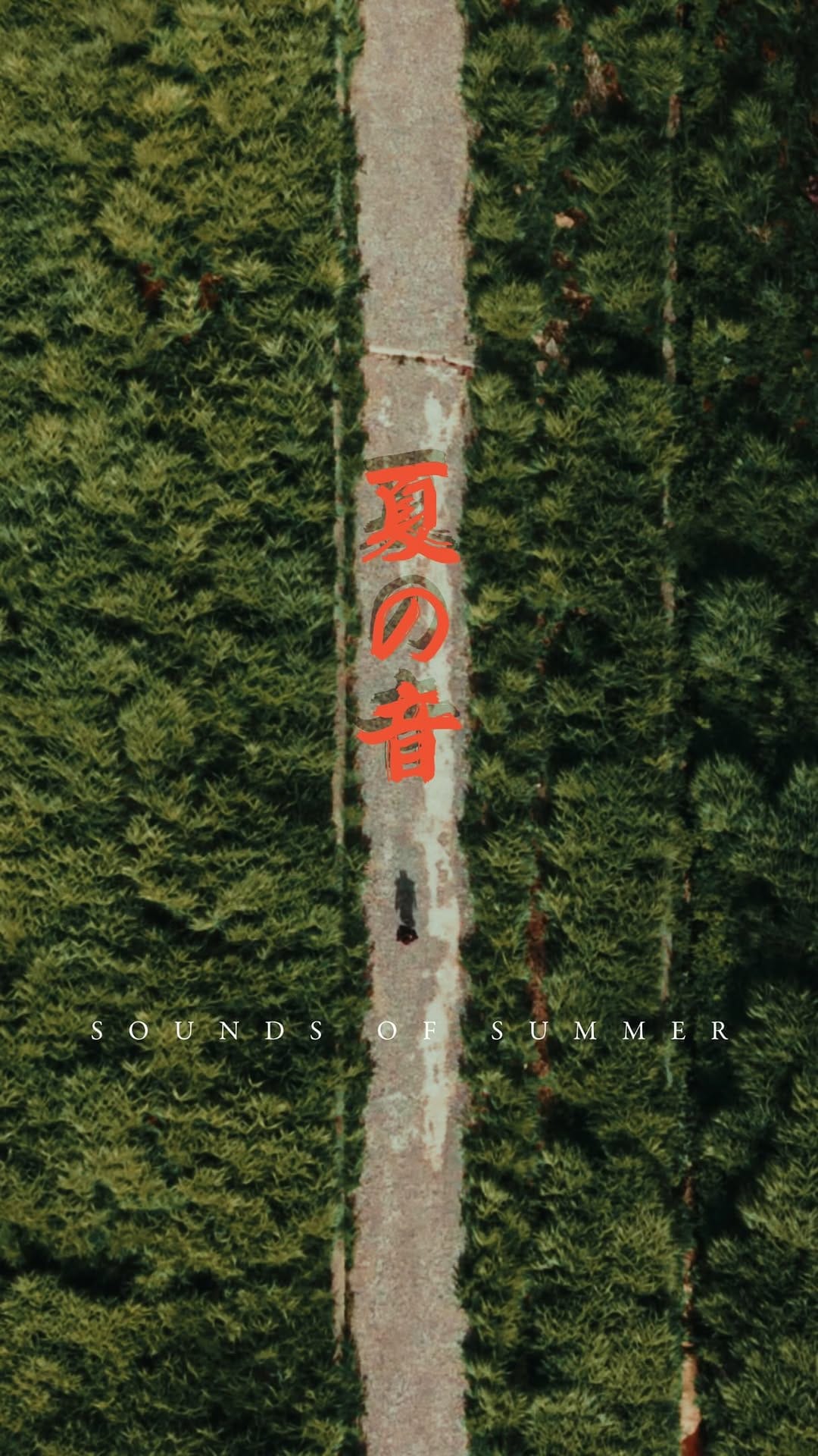 Post 2 by Hiroshi Hashiguchi on Instagram (video)