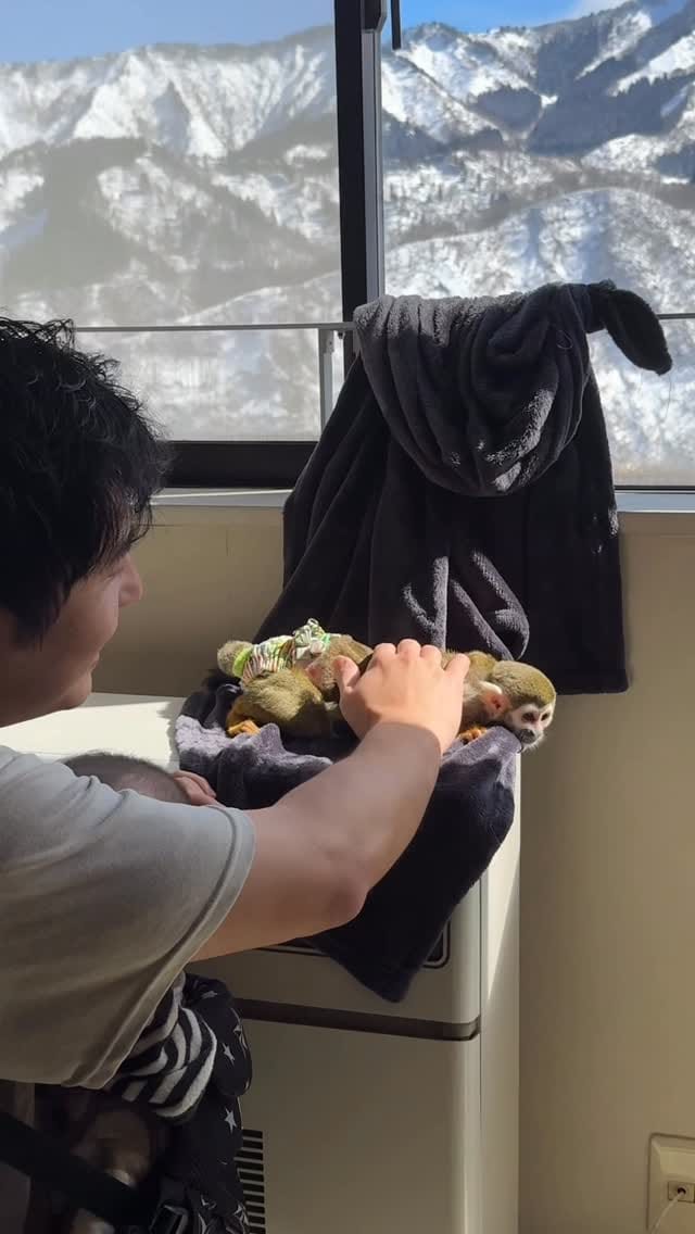 Post 6 by リスザルPiPi🐒💛 on Instagram (video)