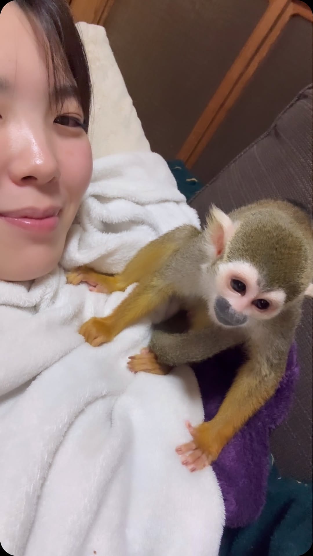 Post 8 by リスザルPiPi🐒💛 on Instagram (video)