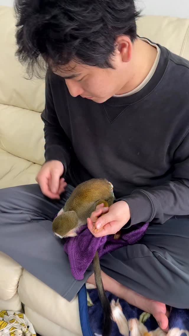 Post 7 by リスザルPiPi🐒💛 on Instagram (video)