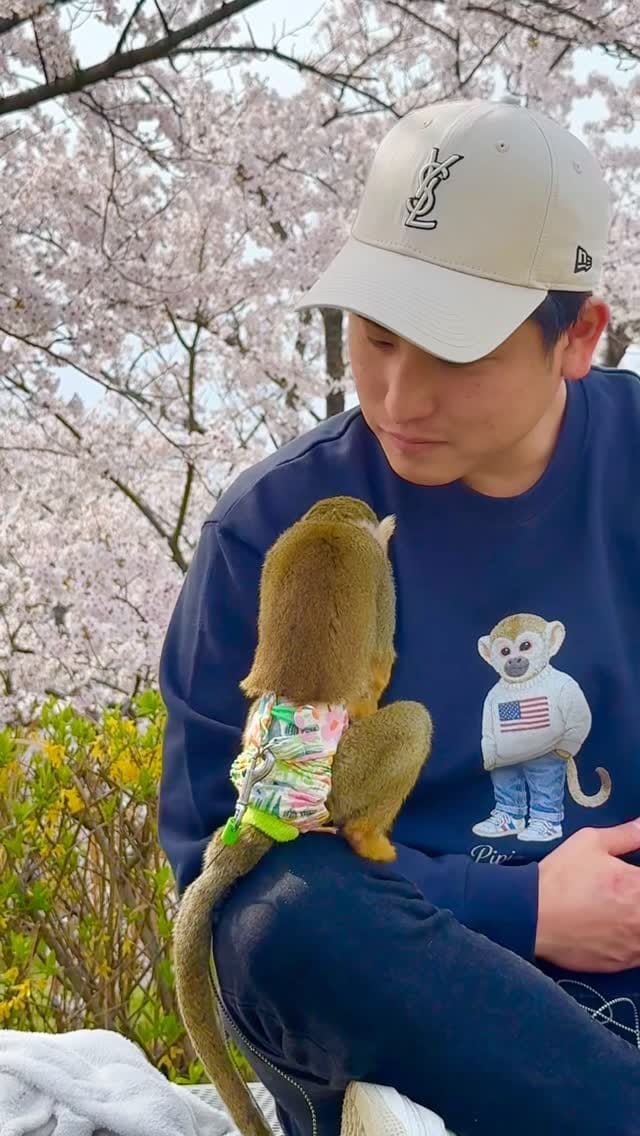 Post 3 by リスザルPiPi🐒💛 on Instagram (video)