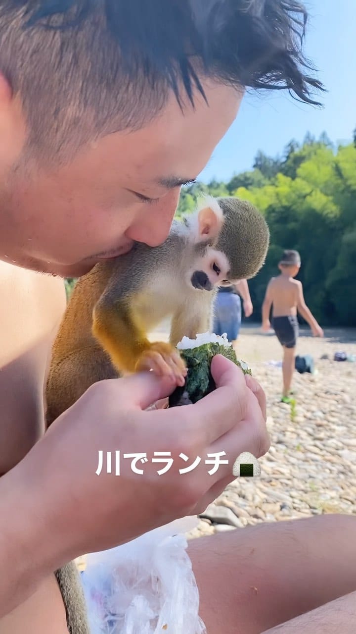 Post 9 by リスザルPiPi🐒💛 on Instagram (video)