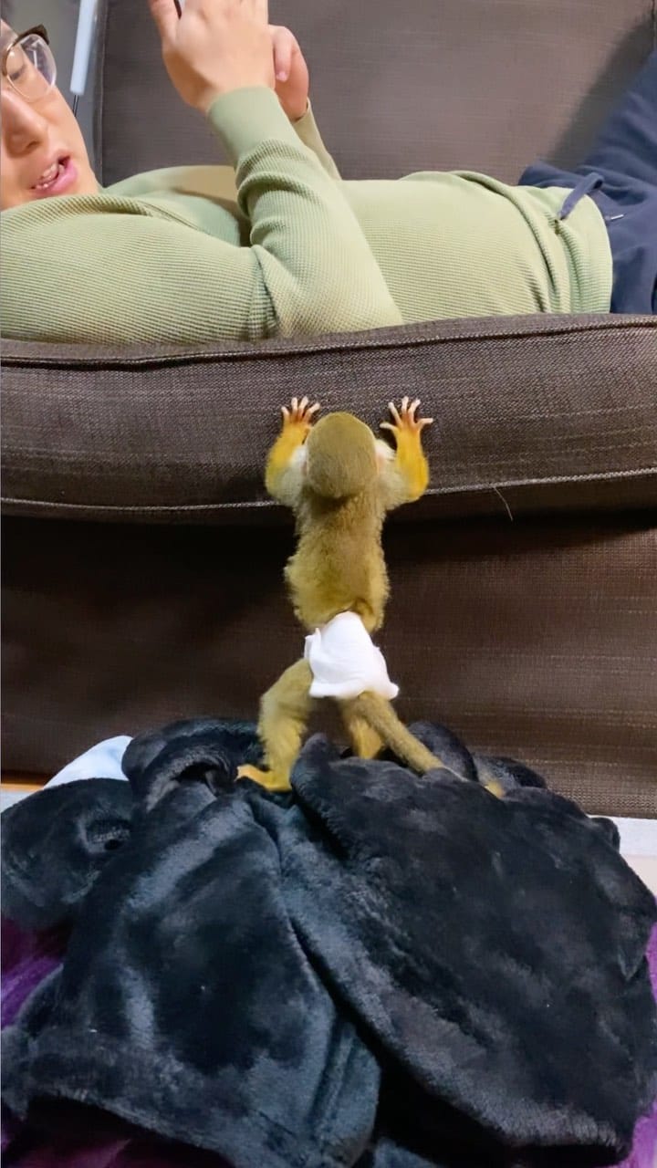 Post 10 by リスザルPiPi🐒💛 on Instagram (video)