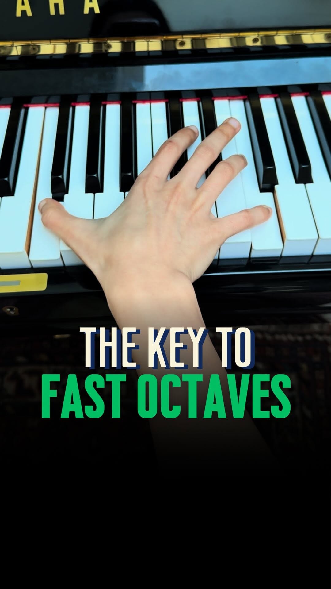 Post 6 by Farnoosh Farokhzad  |  Classical Pianist on Instagram (video)