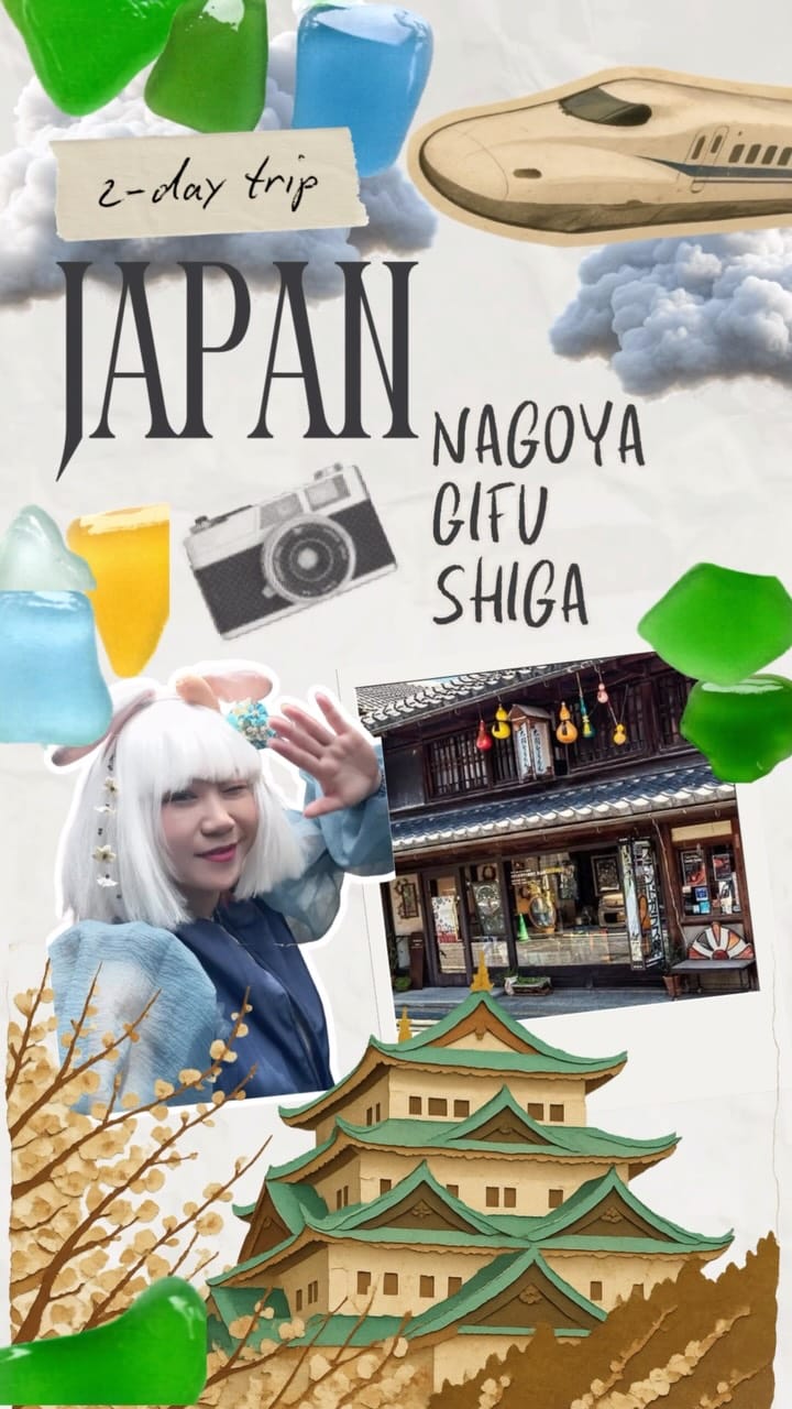 Post 1 by Cyber Bunny | Tour guide in Tokyo, Japan on Instagram (video)