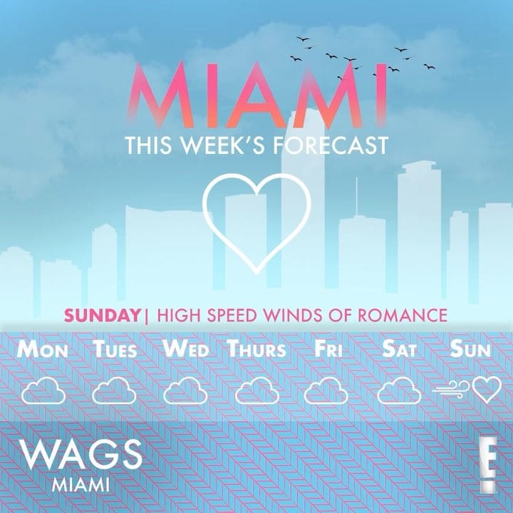 Post 8 by @wagsmiami on Instagram (video)