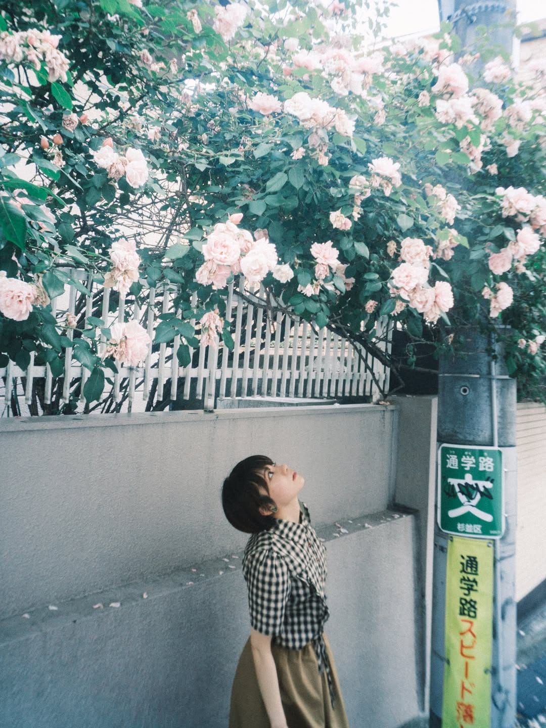 Post 4 by toshiki ishiwa on Instagram (carousel)